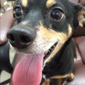 Meet your Posher, Jessi